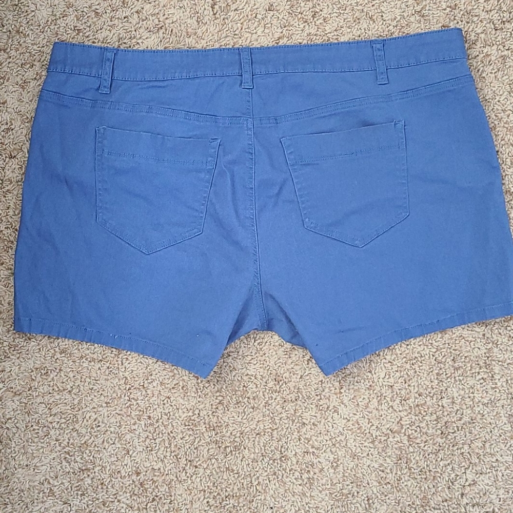 Blue Shorts - Picture 3 of 4